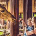 動物園