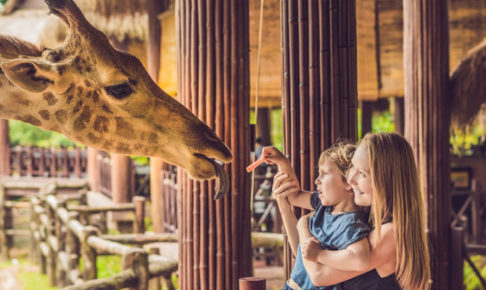 動物園