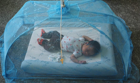 蚊帳で眠る赤ちゃん